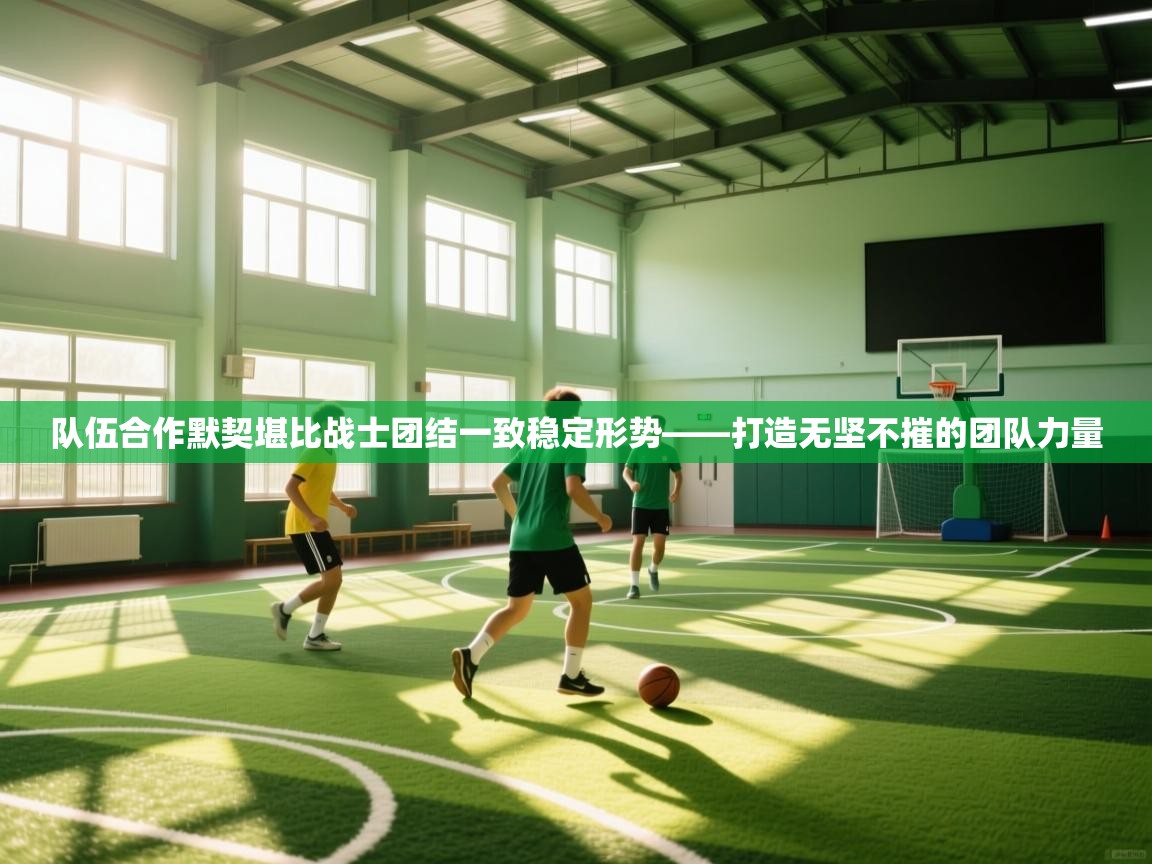 队伍合作默契堪比战士团结一致稳定形势——打造无坚不摧的团队力量 第2张